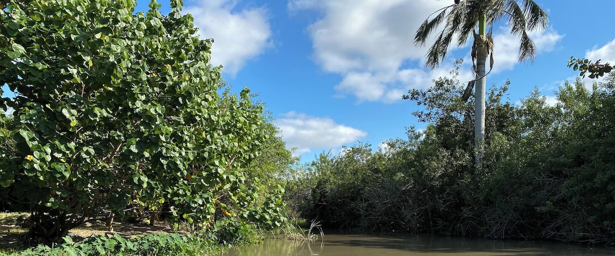 Great time visiting the Everglades FLORIDA...