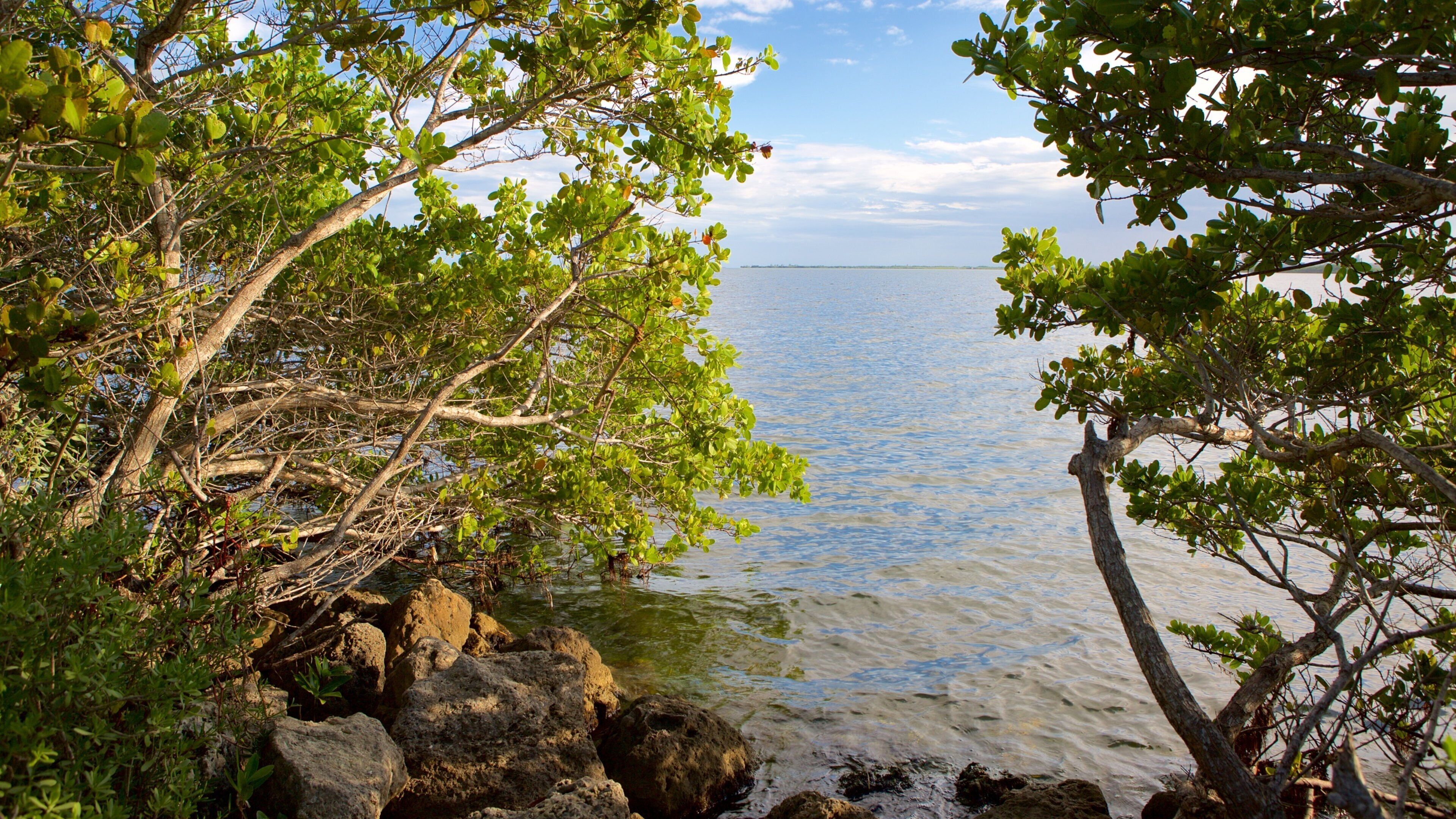 Homestead showing a lake or waterhole