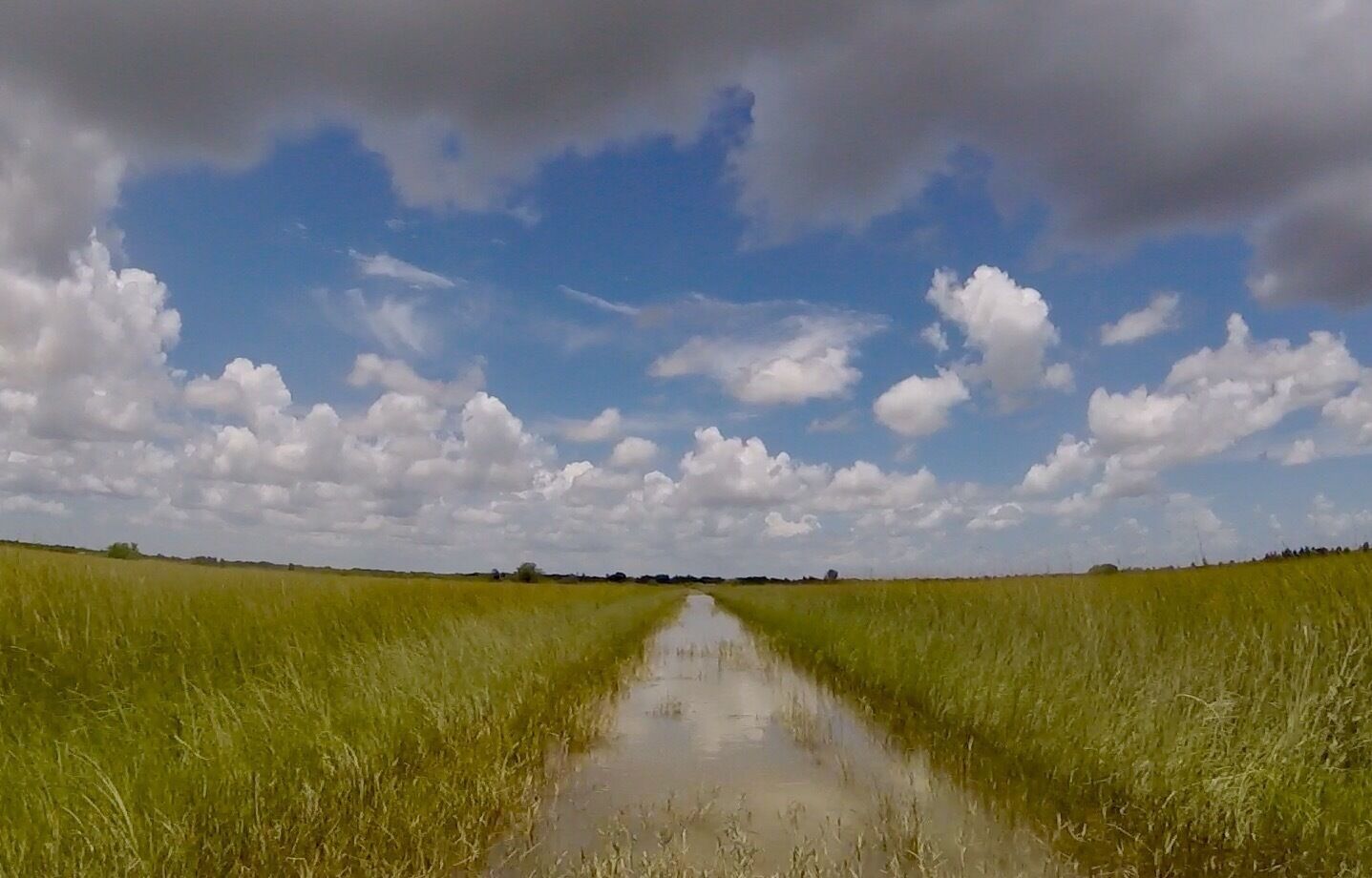 Discover the #Everglades with a airboat! So fun ! 
