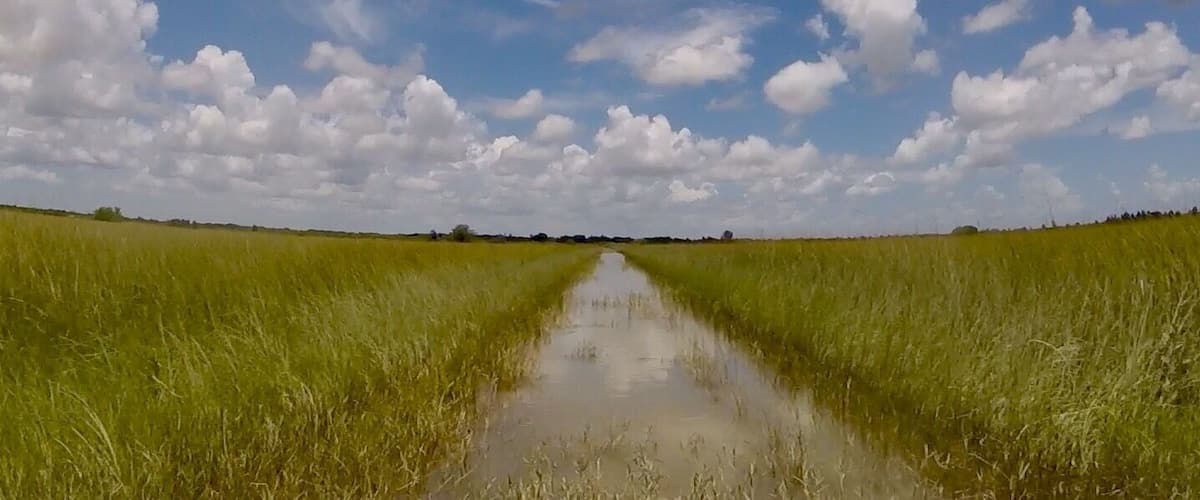Discover the #Everglades with a airboat! So fun !