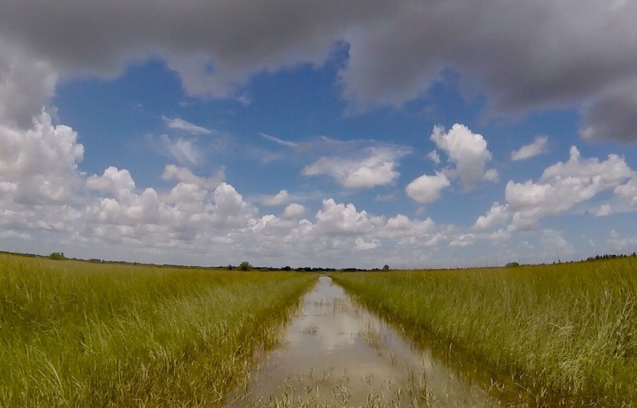 Discover the #Everglades with a airboat! So fun !