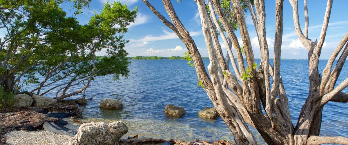 Homestead showing general coastal views