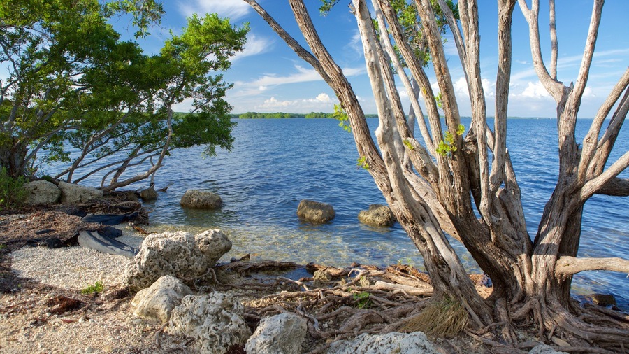 Homestead showing general coastal views
