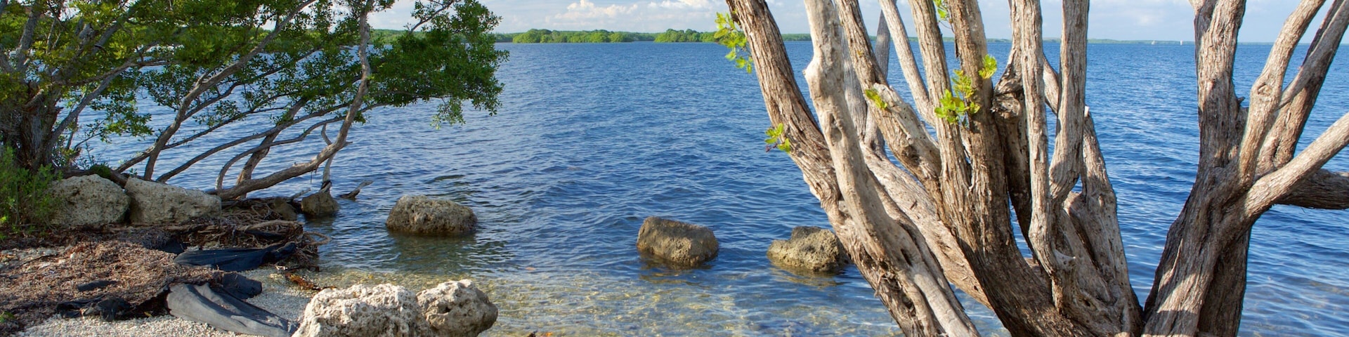 Homestead showing general coastal views