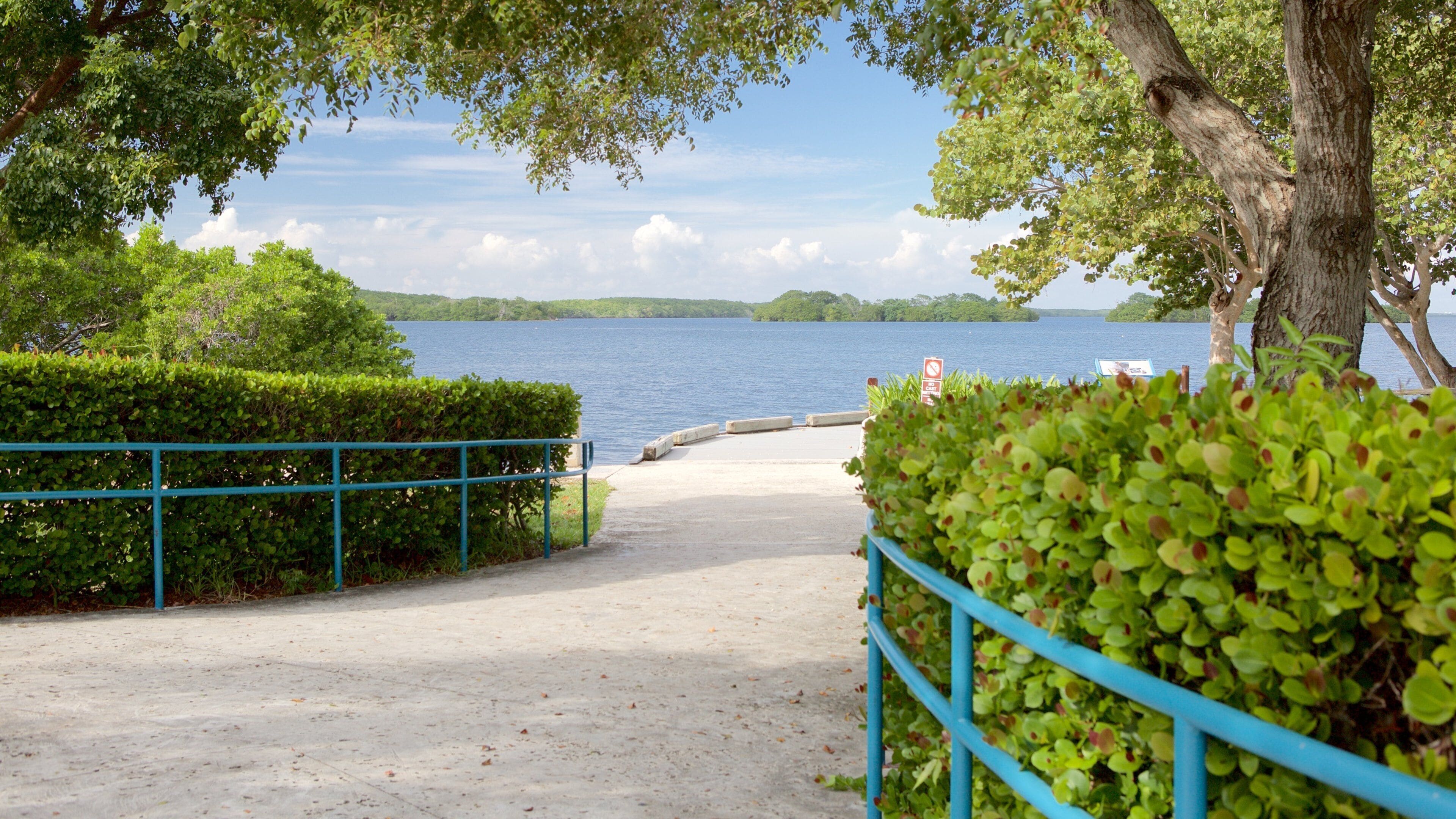 A concrete pathway leading to a body of water, surrounded by lush greenery and a blue railing.