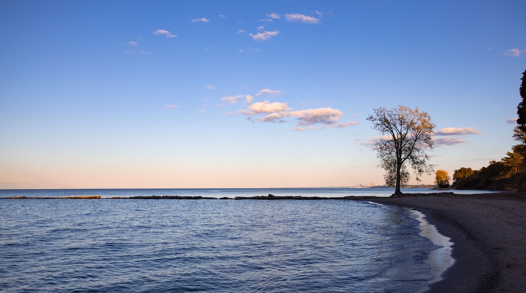 Romantic beach scene with big tree and view over lake Erie with Cleveland cityscape in the background.