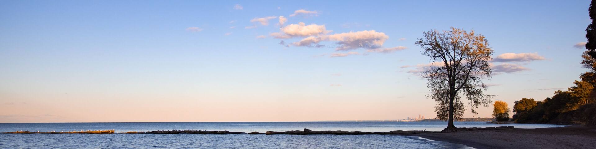 Romantic beach scene with big tree and view over lake Erie with Cleveland cityscape in the background.