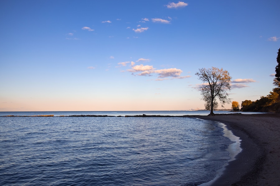 Romantic beach scene with big tree and view over lake Erie with Cleveland cityscape in the background.