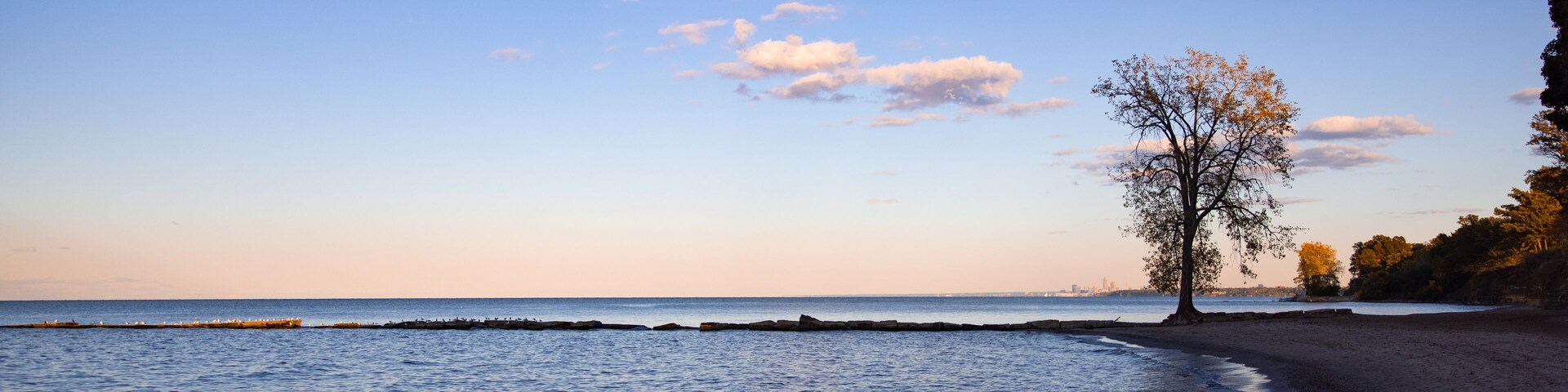 Romantic beach scene with big tree and view over lake Erie with Cleveland cityscape in the background.