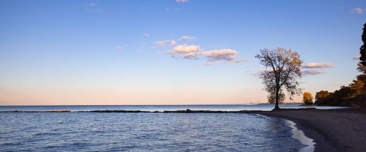 Romantic beach scene with big tree and view over lake Erie with Cleveland cityscape in the background.