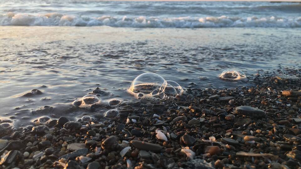 A pebbly beach with bubbles on the water.