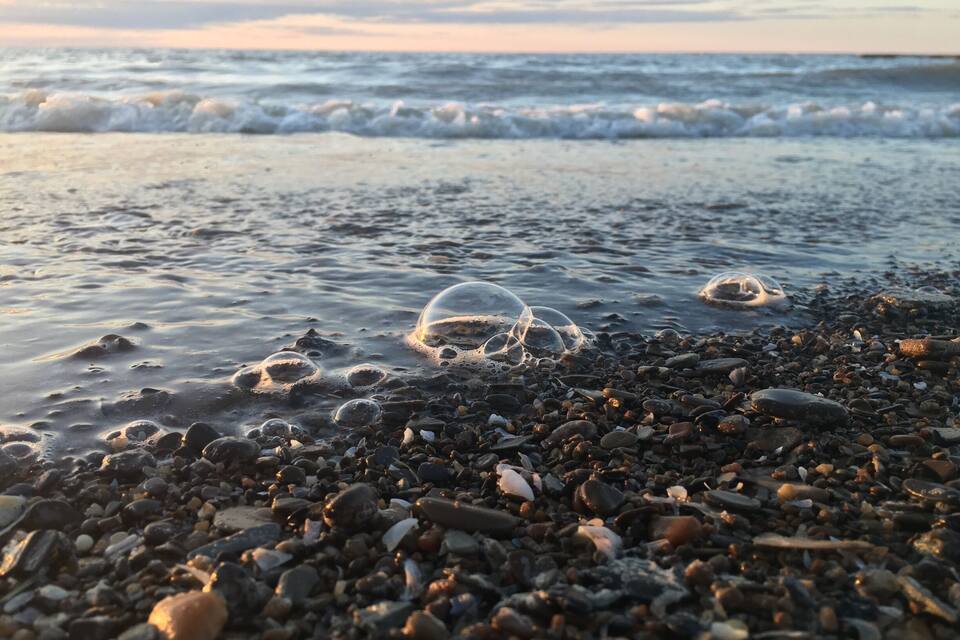 A pebbly beach with bubbles on the water.