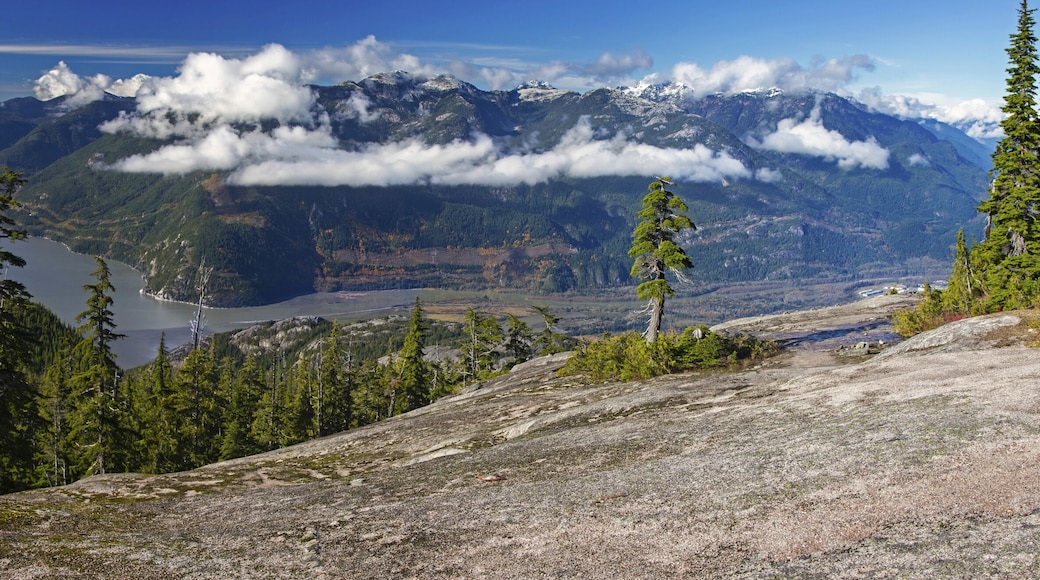 Téléphérique Mer au Ciel