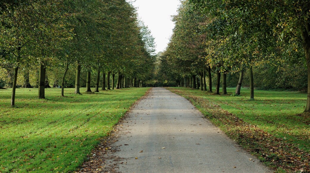 An avenue in Hatfield Park.
