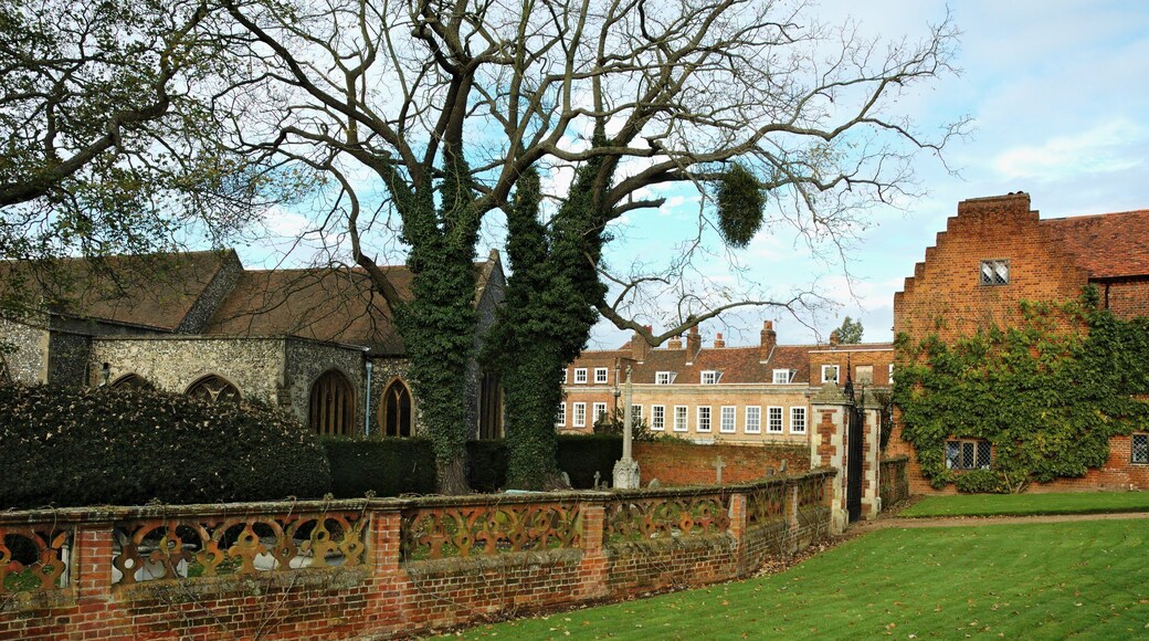 The rear fence of St Etheldreda Church, Hatfield.