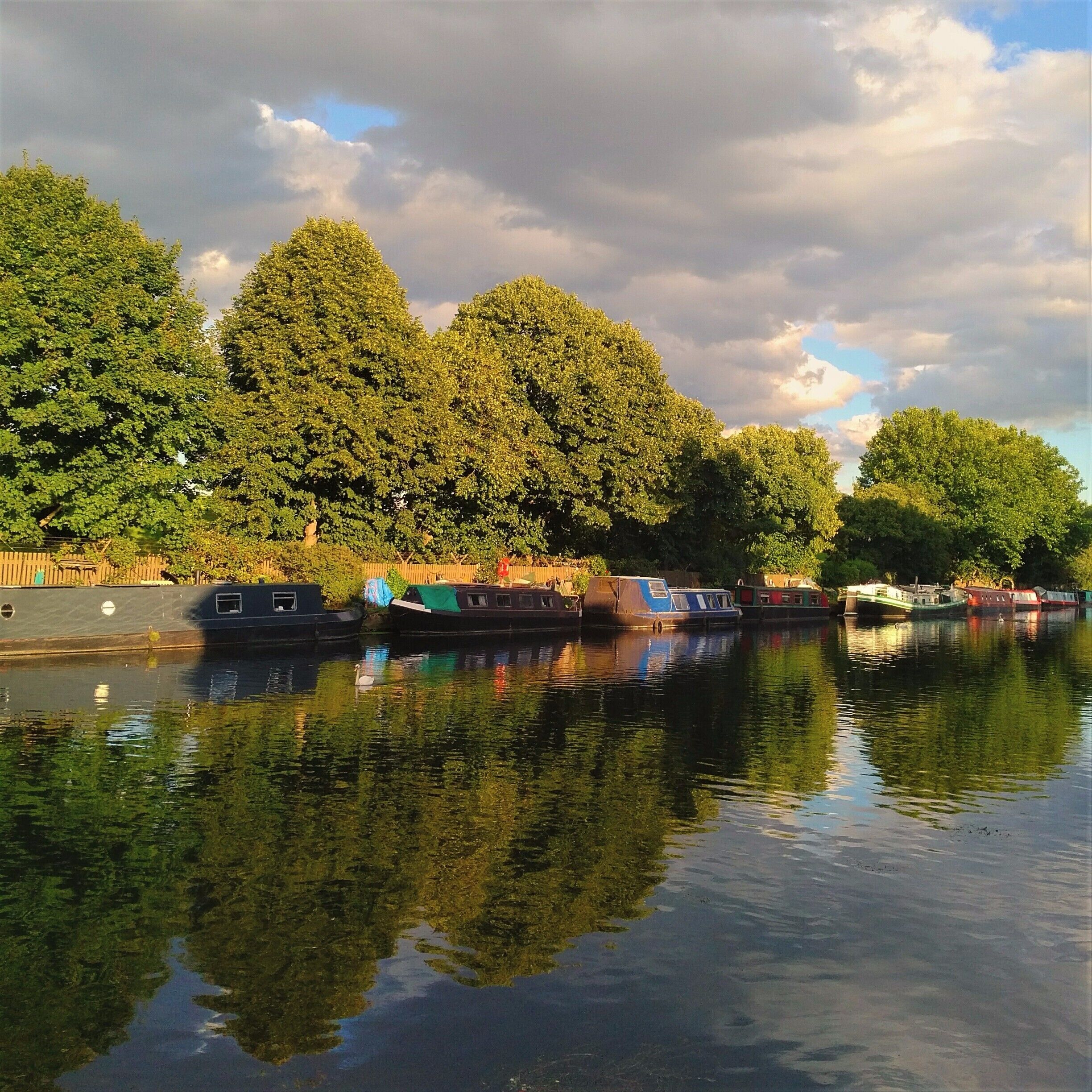 One of the many beautiful walks in London :) River Lea and Springfield Park in the North East of London