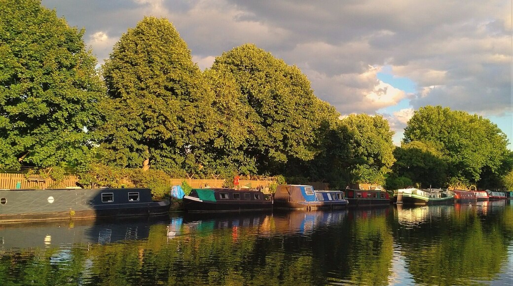One of the many beautiful walks in London :) River Lea and Springfield Park in the North East of London