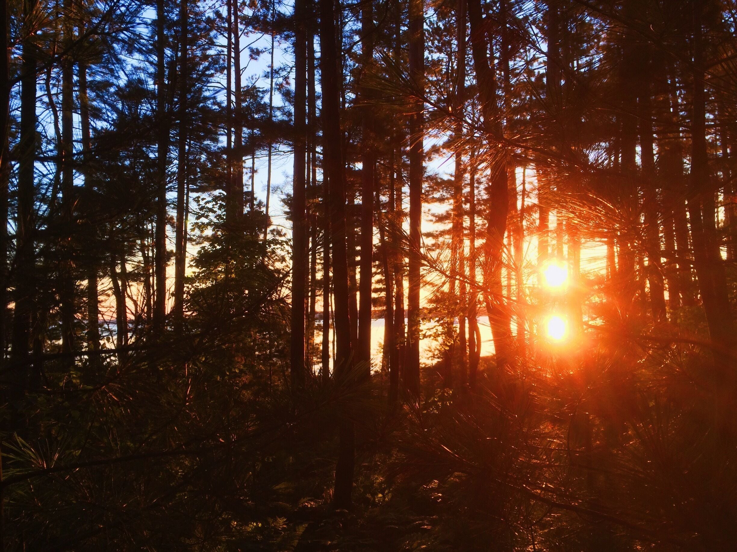 The Apostle Islands are an amazing cluster of islands on Lake Superior. Being reachable by cruise ship, private boat, or sea kayak, they offer many miles of hiking trails lined wild wild blueberries, pristine beaches, and crystal clear water that's the perfect temperature for cooling off after a  day of summer adventuring.