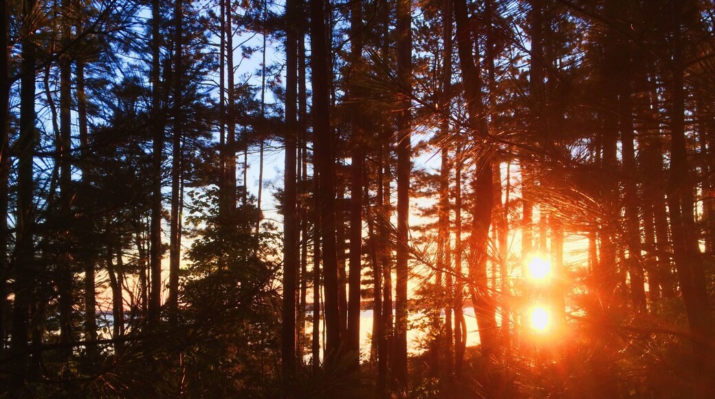 The Apostle Islands are an amazing cluster of islands on Lake Superior. Being reachable by cruise ship, private boat, or sea kayak, they offer many miles of hiking trails lined wild wild blueberries, pristine beaches, and crystal clear water that's the perfect temperature for cooling off after a day of summer adventuring.