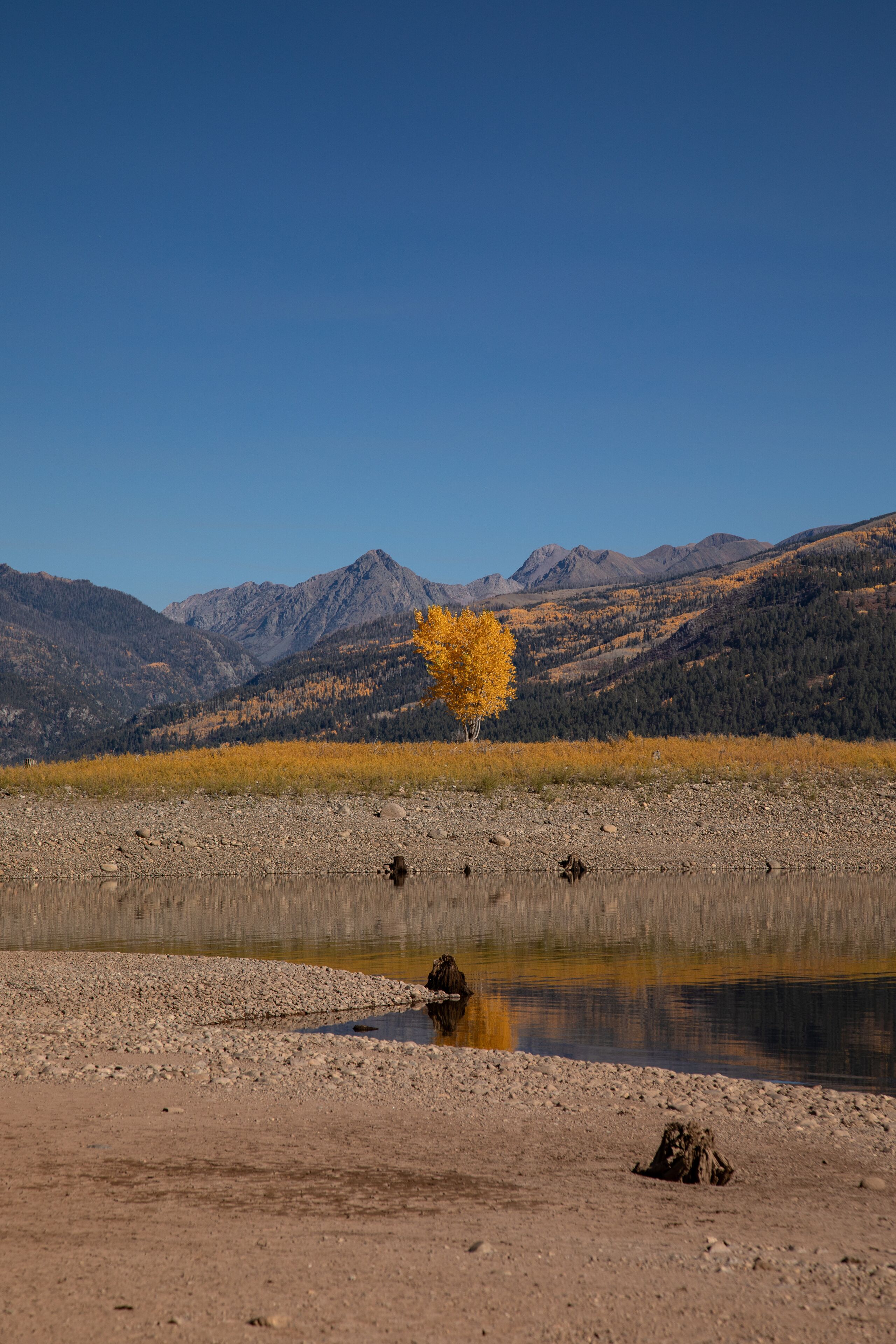Fall folage with water reflection