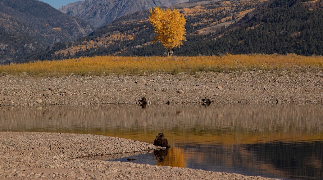 Fall folage with water reflection