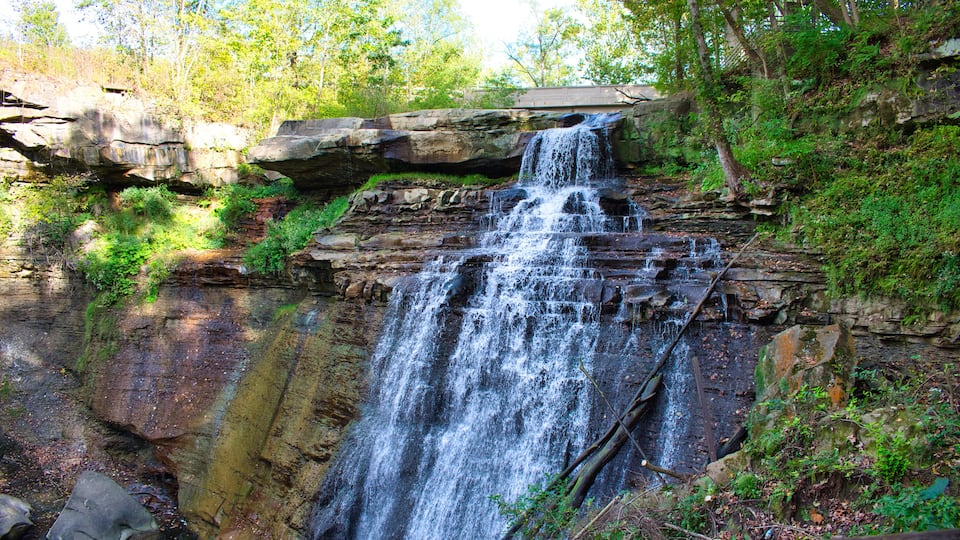 A waterfall cascading over a rocky cliff surrounded by lush greenery.