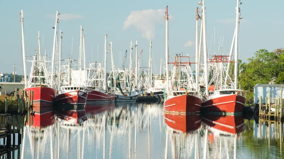 A marina with several red and white fishing boats docked in calm water.