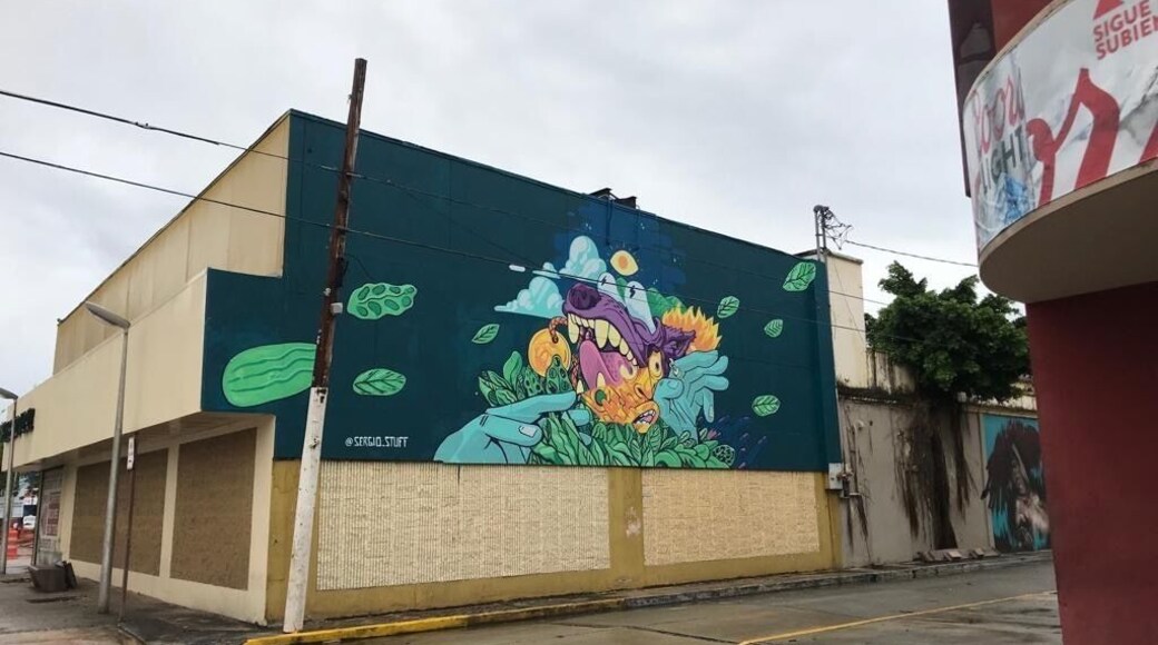 “Humacao Grita” its an Urban Art Event in Humacao, PR participating International and local artists.