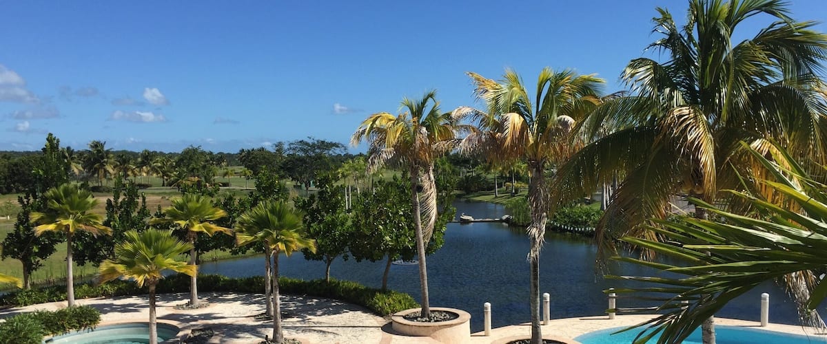 A pool area with palm trees and a view of a lake.
