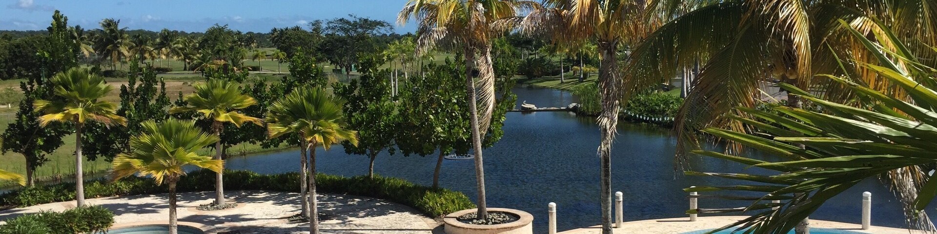 A pool area with palm trees and a view of a lake.