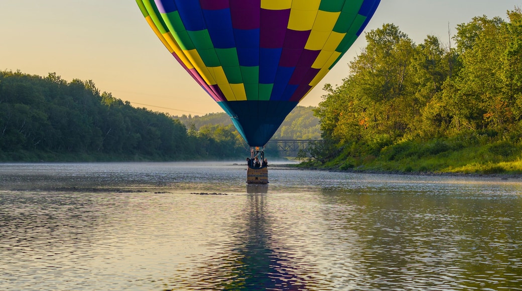 Une montgolfiĂšre survolant une riviĂšre paisible, bordĂ©e dâune rive boisĂ©e.