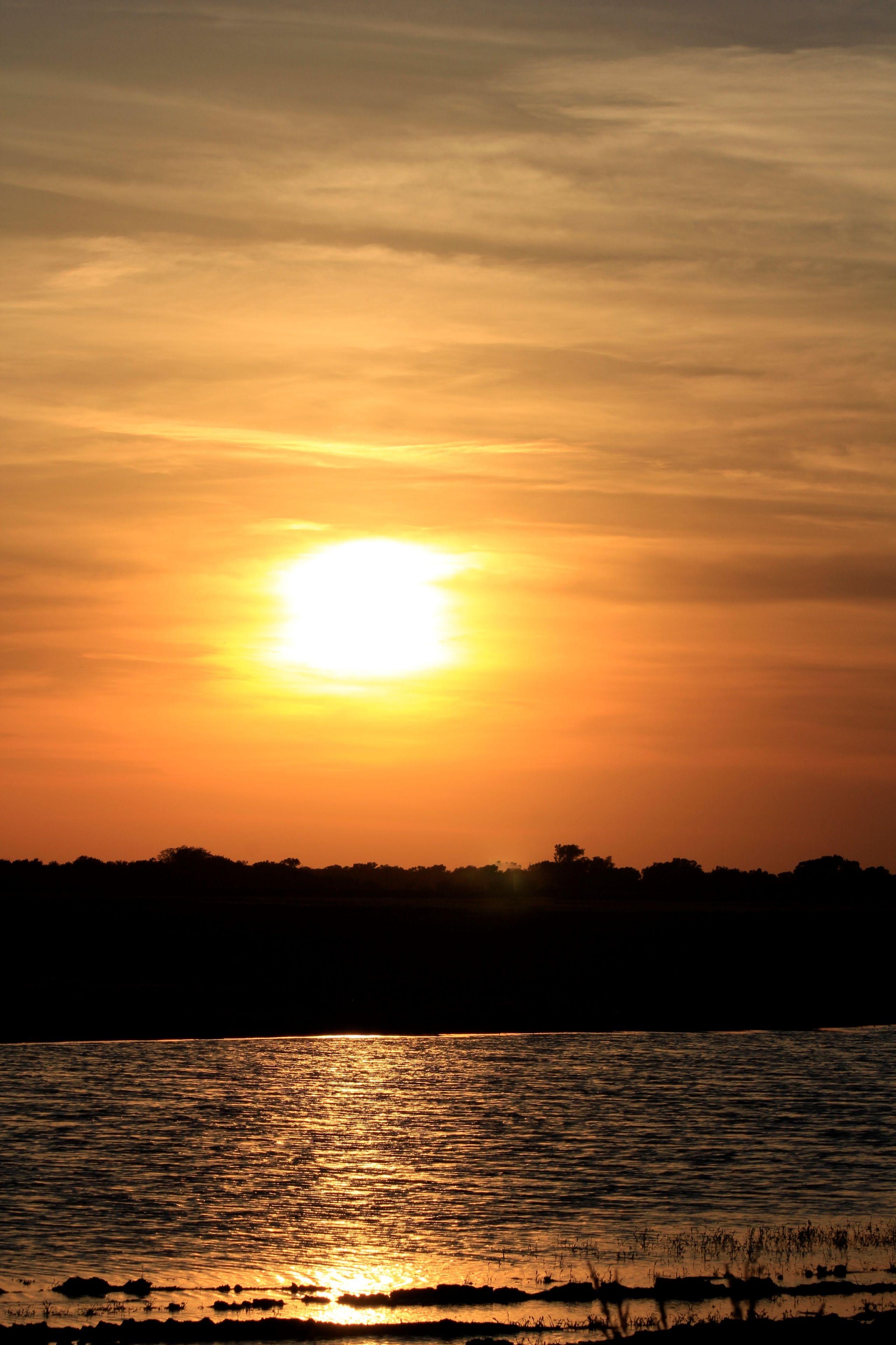 A sunset over a body of water with a silhouette of trees in the distance.