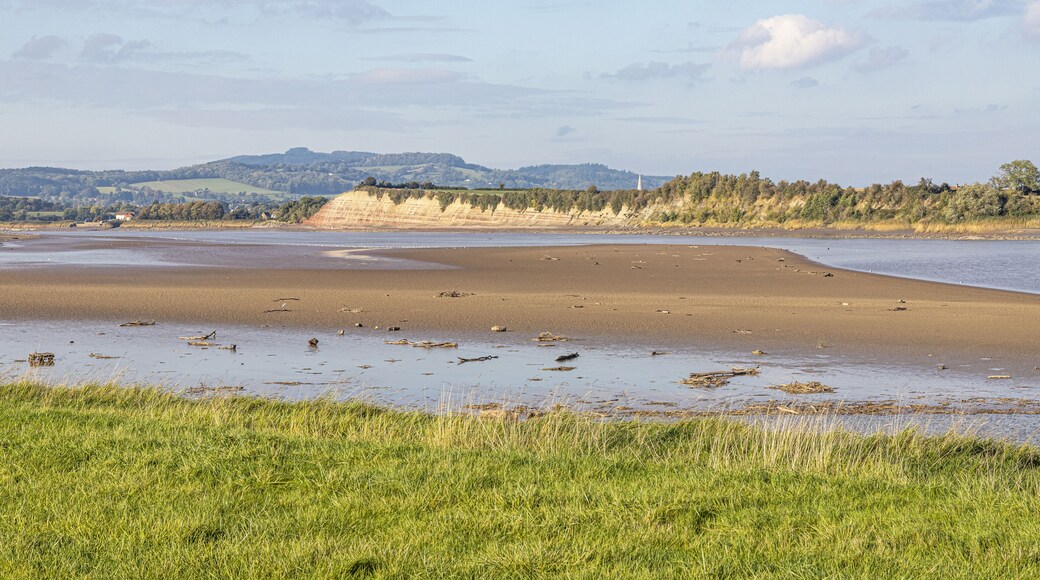 The River Severn at low tide at Arlingham, Gloucestershire, England UK - Westbury Garden Cliff is on the far bank.
