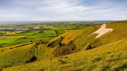 Westbury White horse, in golden evening summer light, Wiltshire