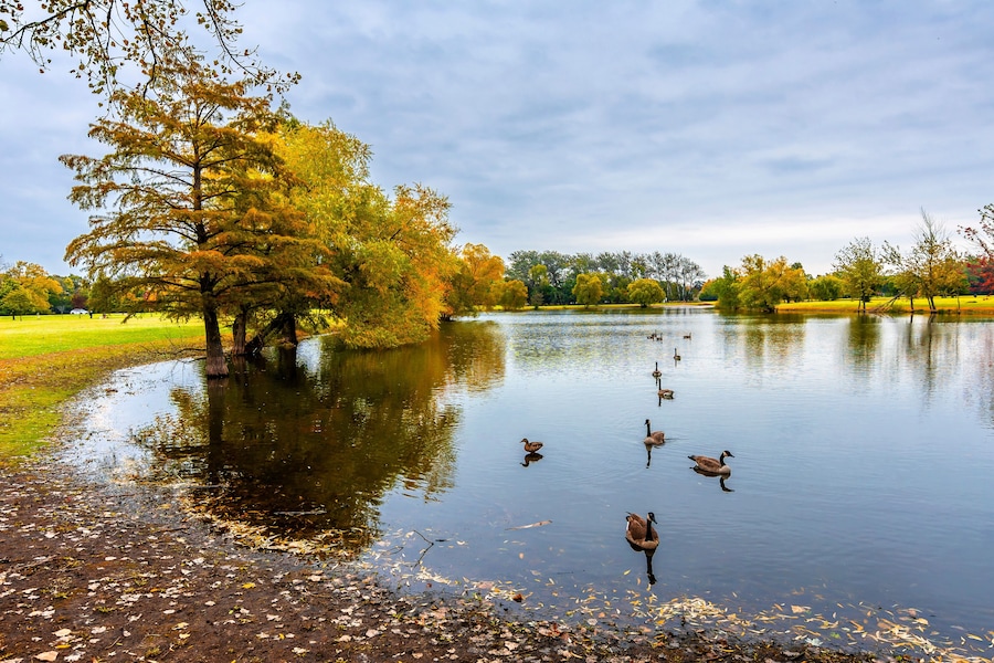 Schiller Woods view in Chicago of Illinois