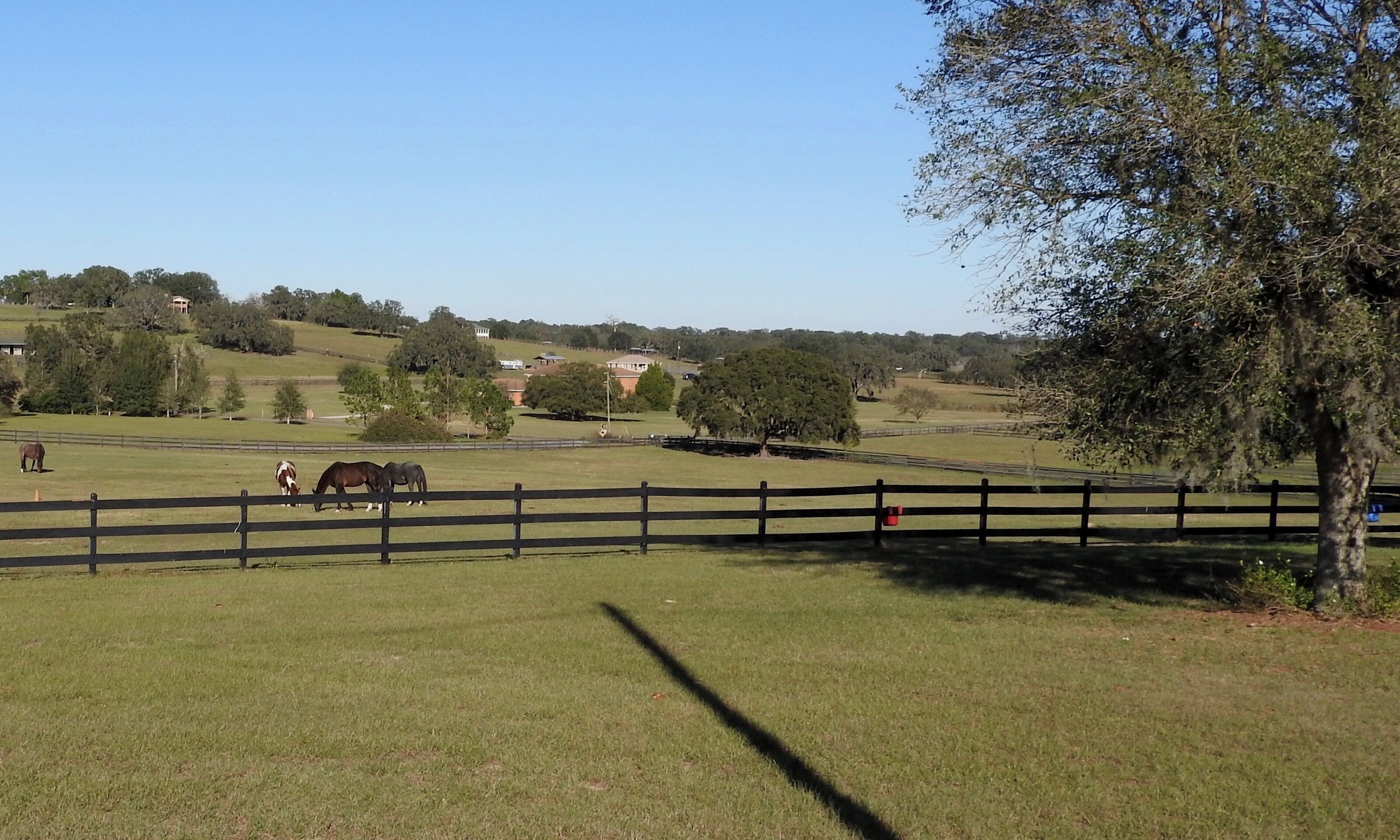 Scenic ranches.

#LikeALocal
