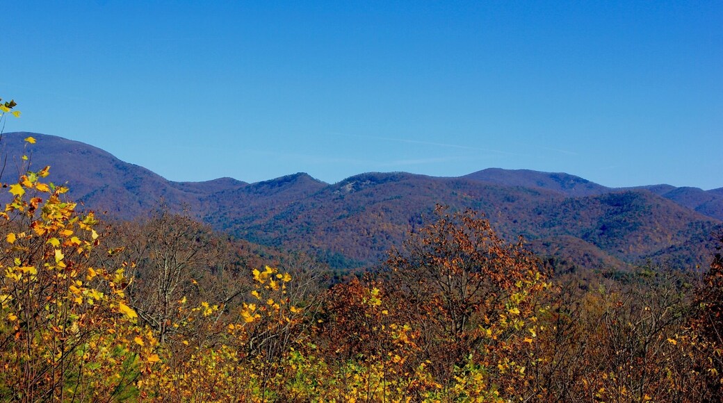 The last little bit of fall color in the Blue Ridge Mountains. Chestatee Overlook in the Chattahoochee National Forest in GA Hwy 60.