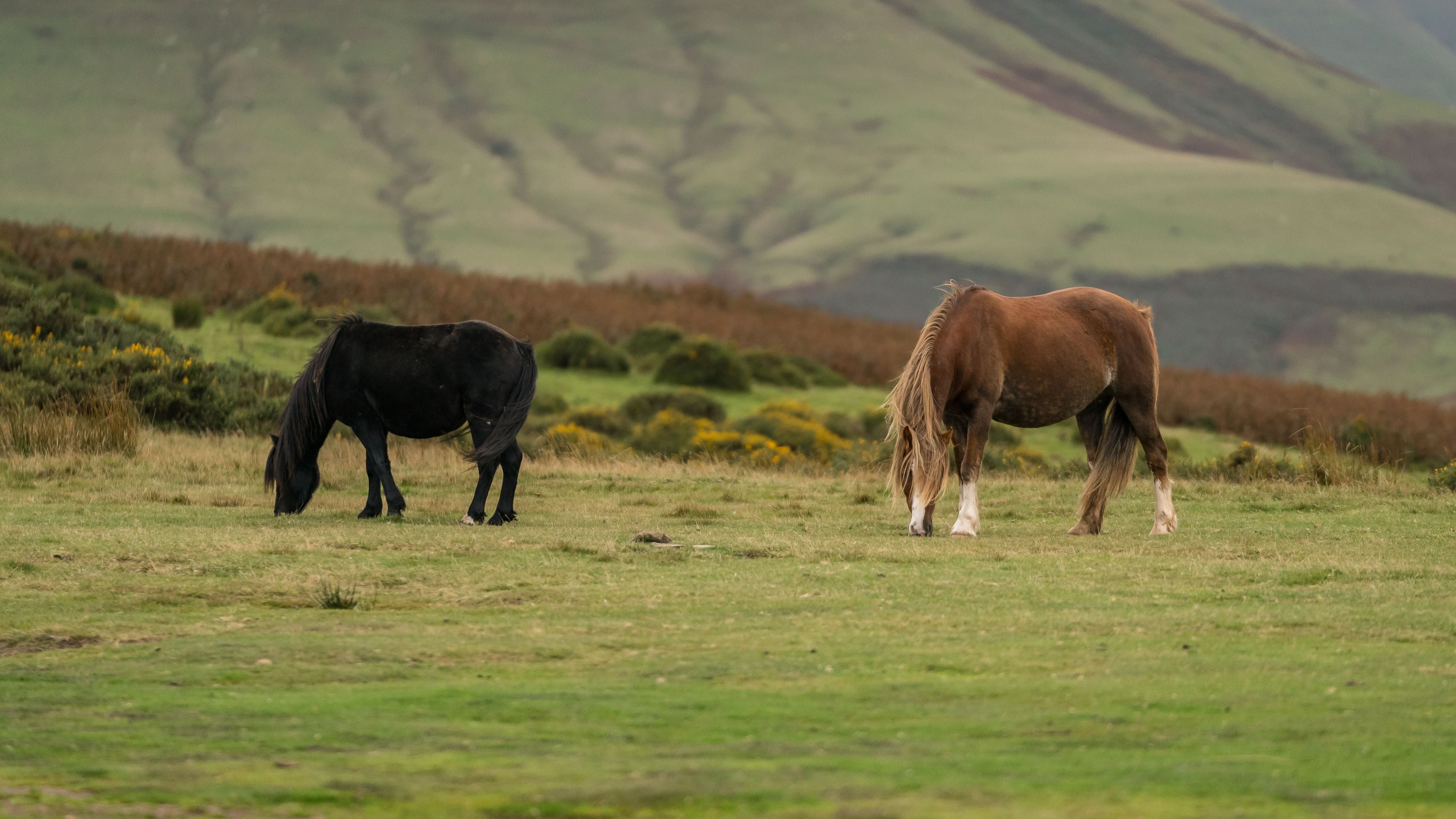 Hay on Wye