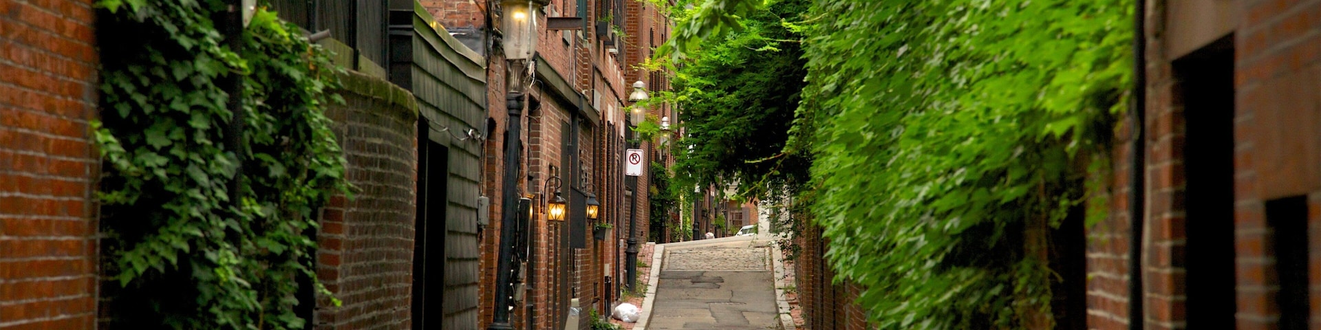 Un callejón estrecho con edificios de ladrillo, hiedra verde y farolas.