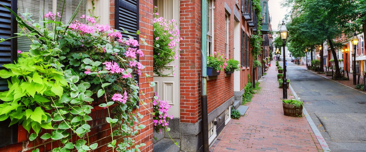 Window Box and Brownstones in Beacon Hill, Boston
