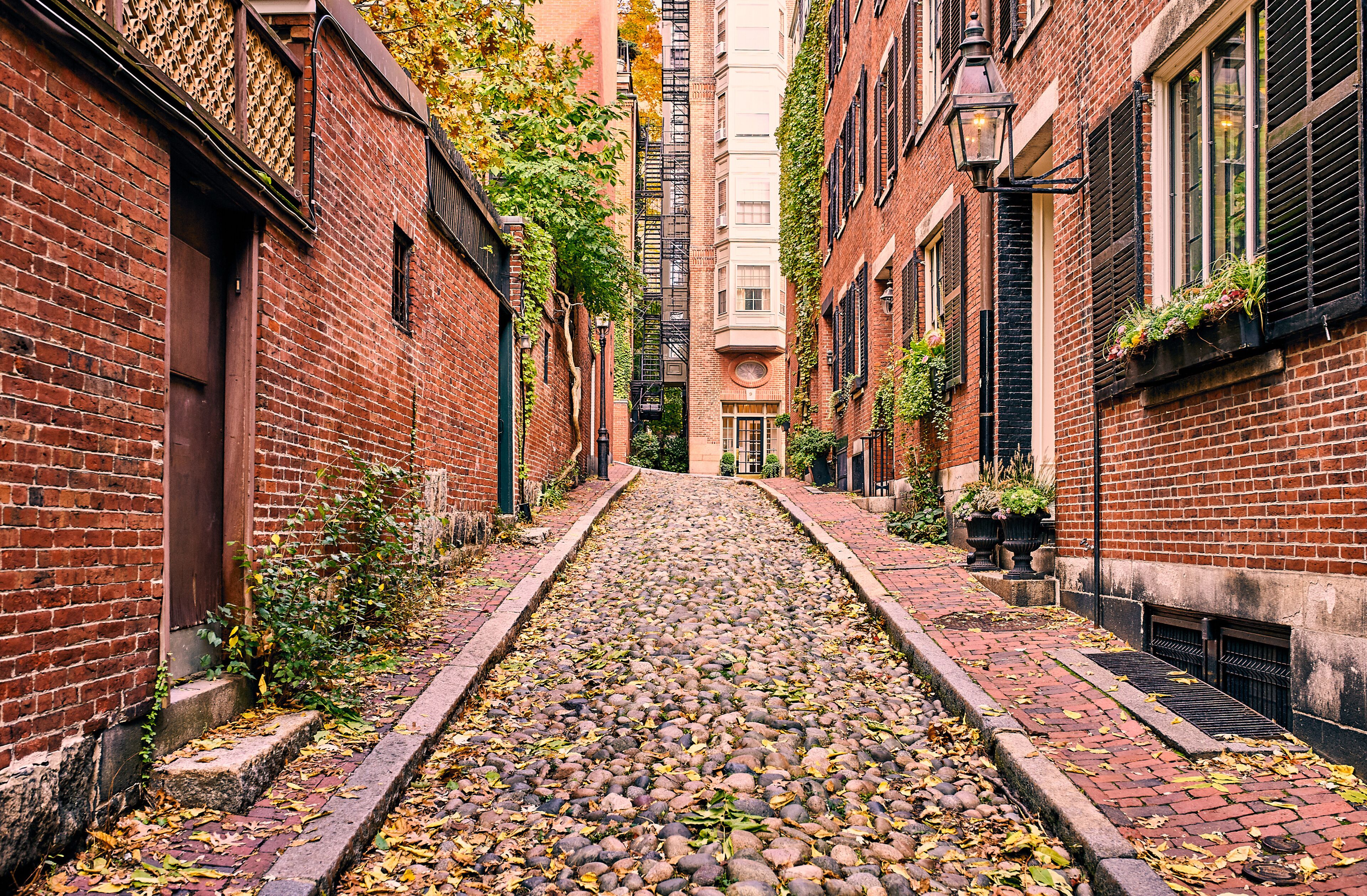 A narrow alley with cobblestone path, brick buildings, and climbing ivy.