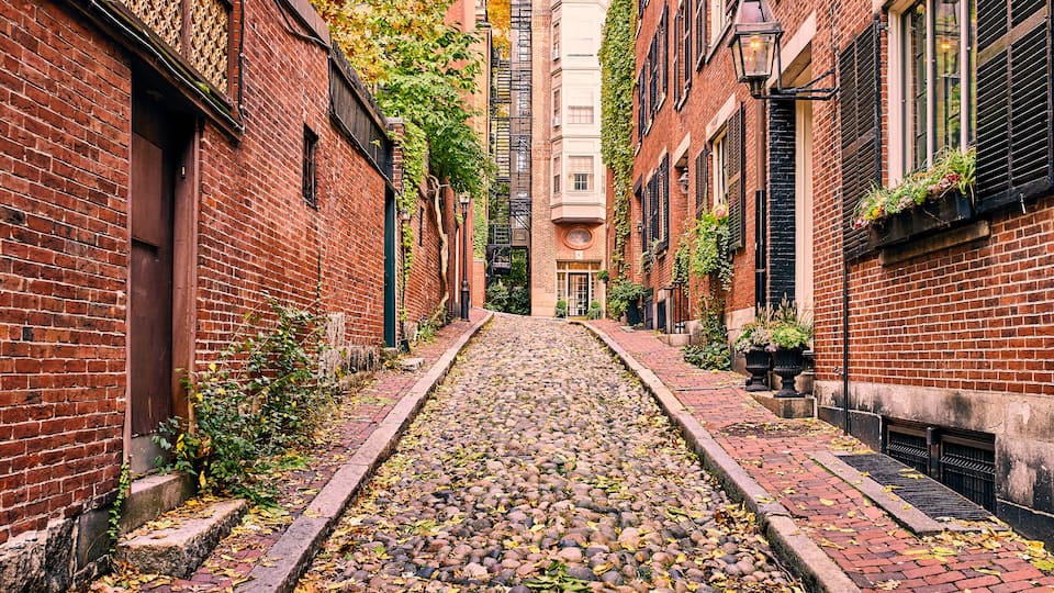 A narrow alley with cobblestone path, brick buildings, and climbing ivy.