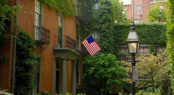 Explore the charming streets and lush greenery of Beacon Hill in Boston during a sunny day