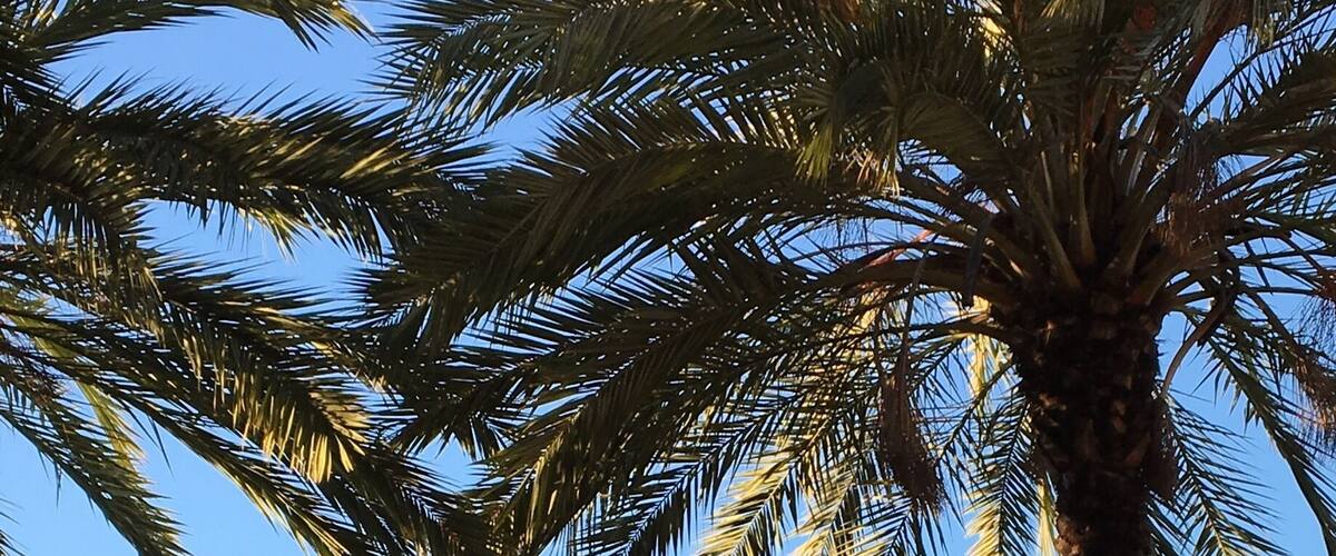 Downtown Hayward, California USA