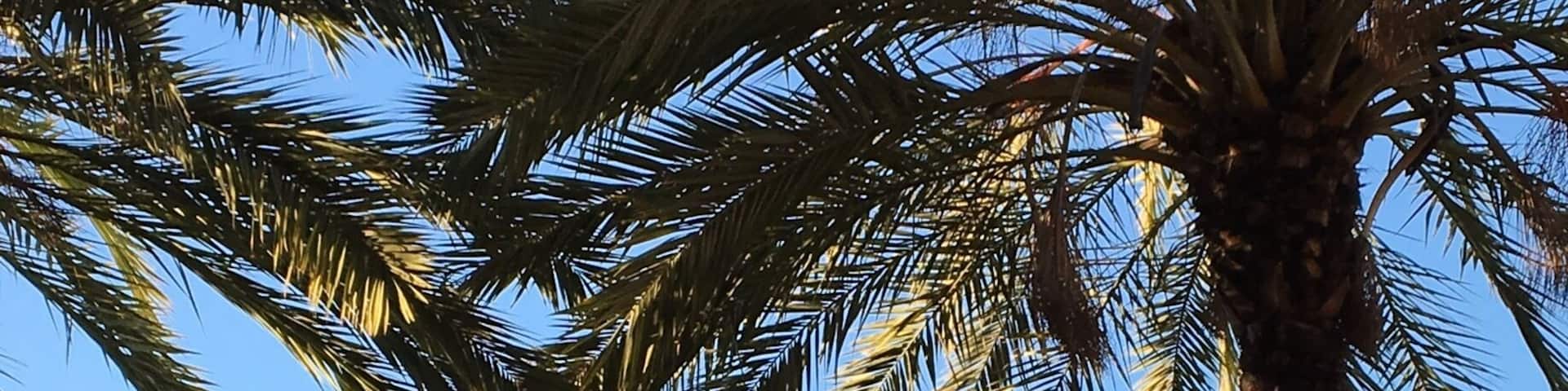 Downtown Hayward, California USA