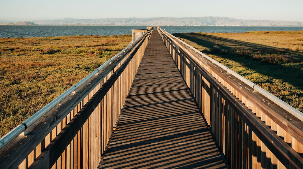 Un paseo marítimo de madera se extiende hacia la distancia sobre un campo cubierto de hierba, con un cielo azul despejado.