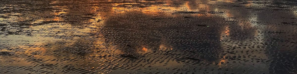 Un coucher de soleil sur une plage humide, avec la silhouette d’une ville qui se dessine à l’horizon.