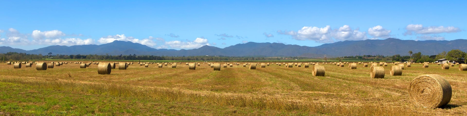 Panoramic hay bales and hills on the Atherton Tableland in Tropical North Queensland, Australia