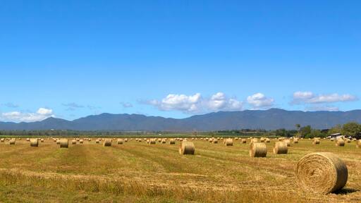 Panoramic hay bales and hills on the Atherton Tableland in Tropical North Queensland, Australia