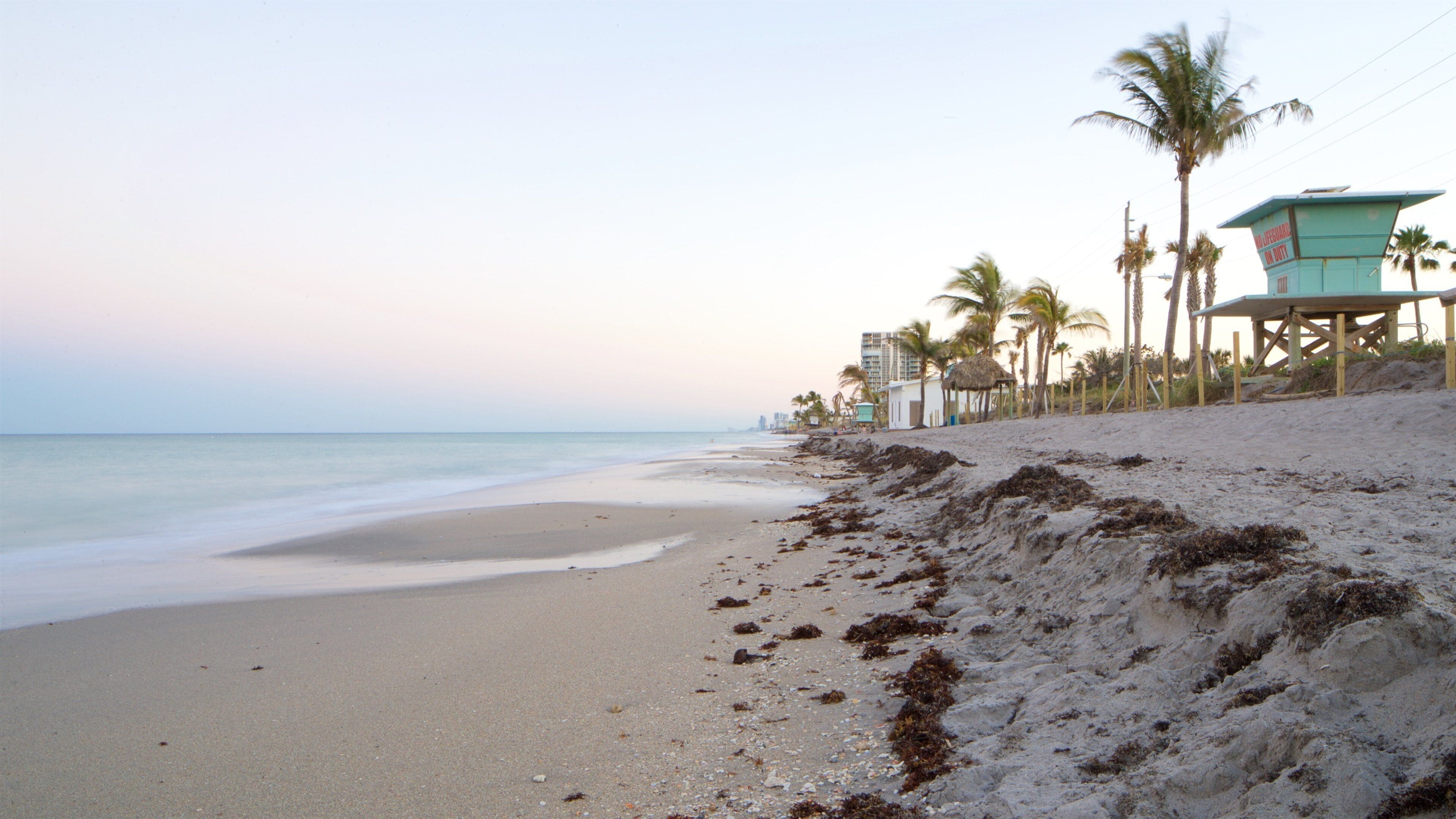 A beach with a lifeguard tower, palm trees, and a calm sea.